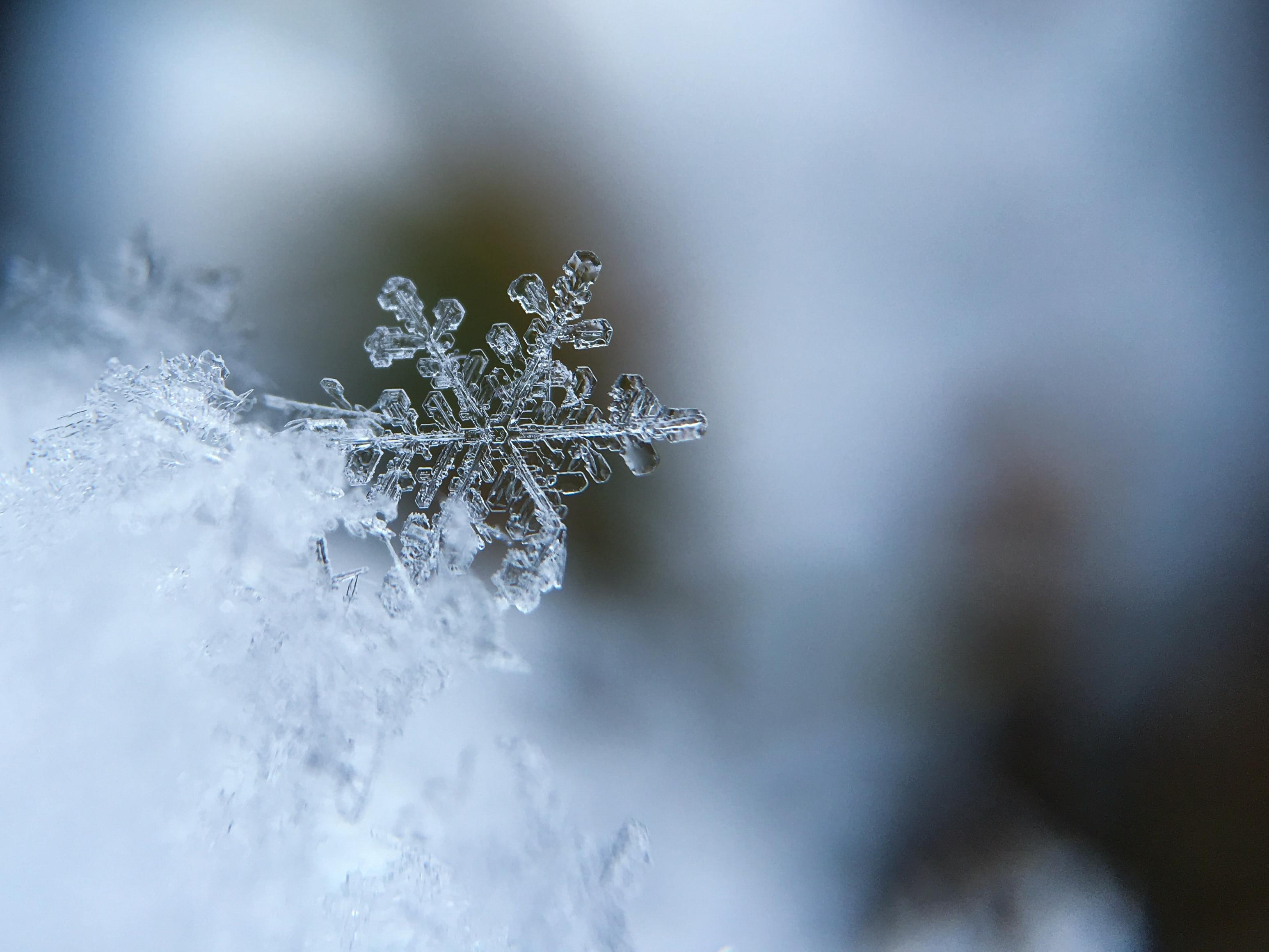 冬天的雪花